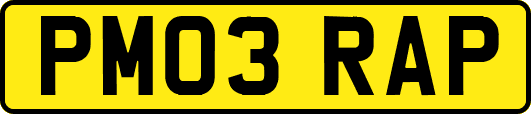 PM03RAP