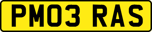 PM03RAS