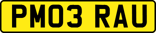 PM03RAU