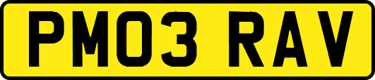 PM03RAV