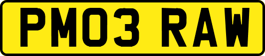 PM03RAW