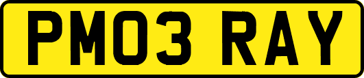 PM03RAY