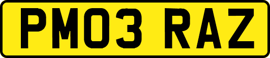PM03RAZ