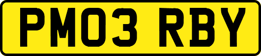 PM03RBY