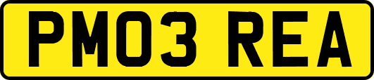 PM03REA