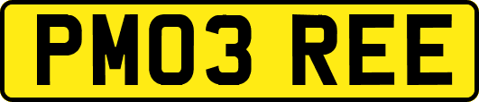 PM03REE