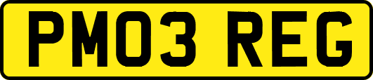 PM03REG