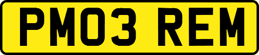 PM03REM