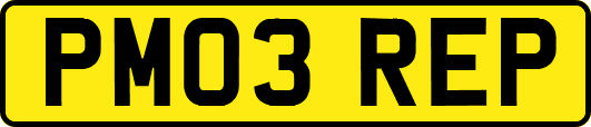 PM03REP