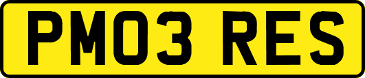 PM03RES