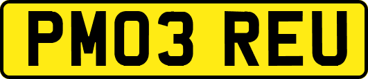 PM03REU