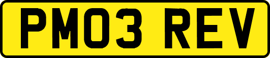 PM03REV
