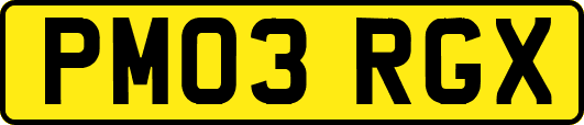 PM03RGX