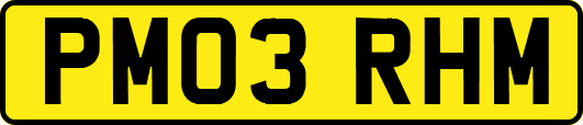 PM03RHM