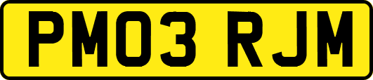 PM03RJM