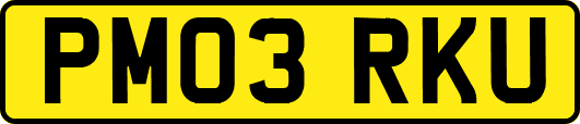 PM03RKU