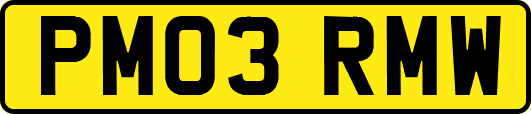 PM03RMW