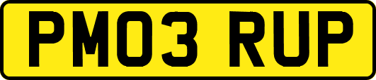 PM03RUP