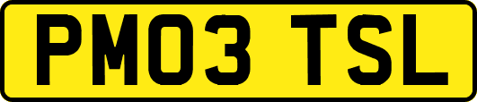 PM03TSL