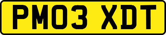 PM03XDT