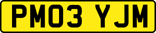 PM03YJM