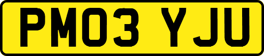 PM03YJU