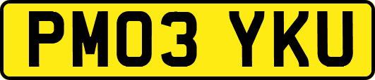 PM03YKU