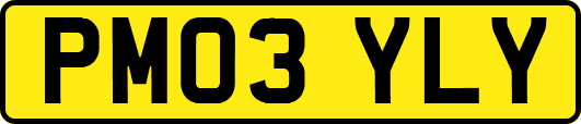 PM03YLY