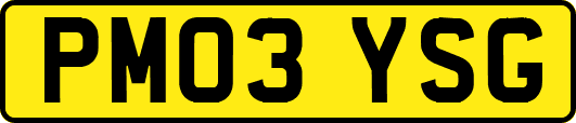 PM03YSG