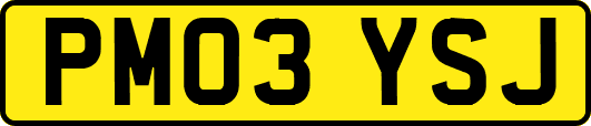 PM03YSJ