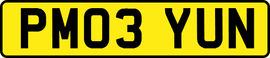 PM03YUN