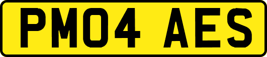 PM04AES