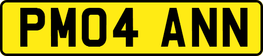 PM04ANN