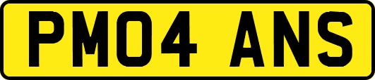 PM04ANS