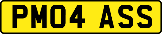PM04ASS