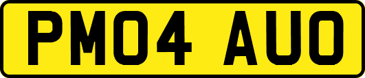 PM04AUO