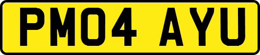 PM04AYU