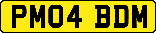 PM04BDM