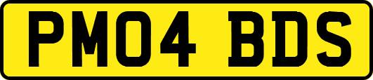 PM04BDS