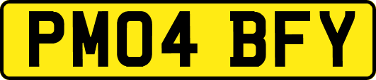 PM04BFY