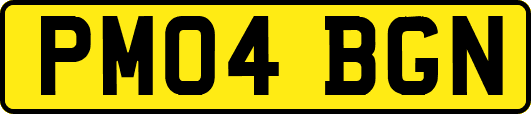PM04BGN
