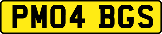 PM04BGS