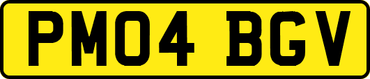 PM04BGV