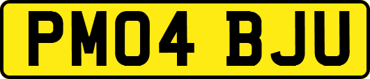 PM04BJU