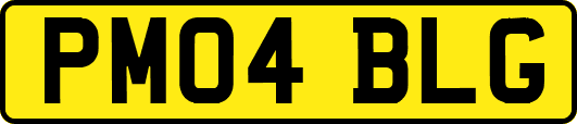 PM04BLG