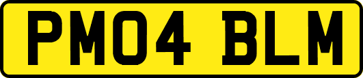 PM04BLM