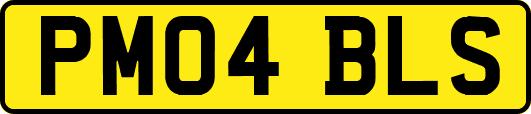 PM04BLS