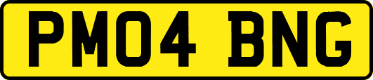 PM04BNG