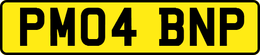 PM04BNP