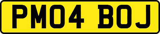 PM04BOJ